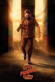 Pushpa 2 – The Rule (Reloaded Version) (2024)